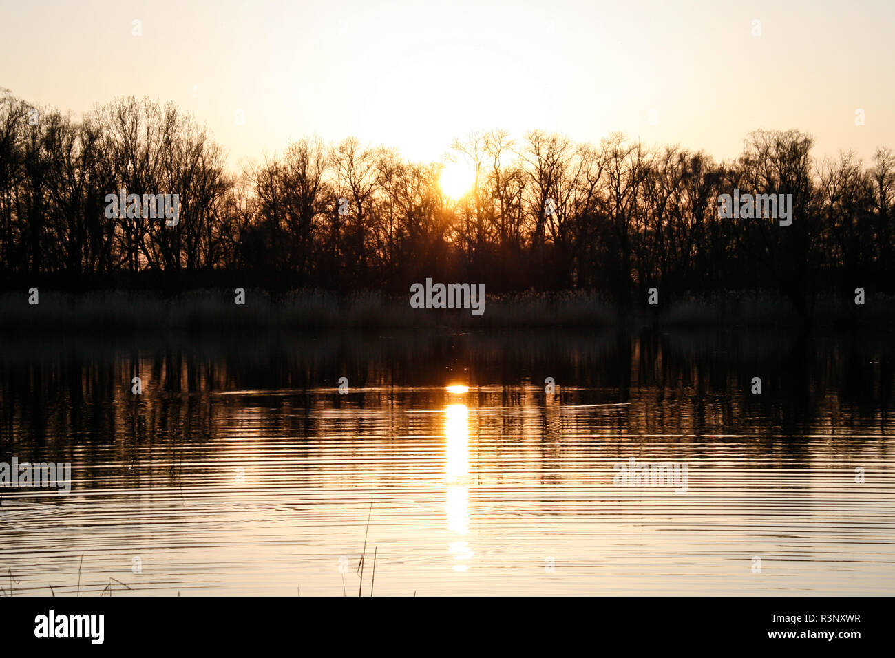 Havel river at sunset Stock Photo