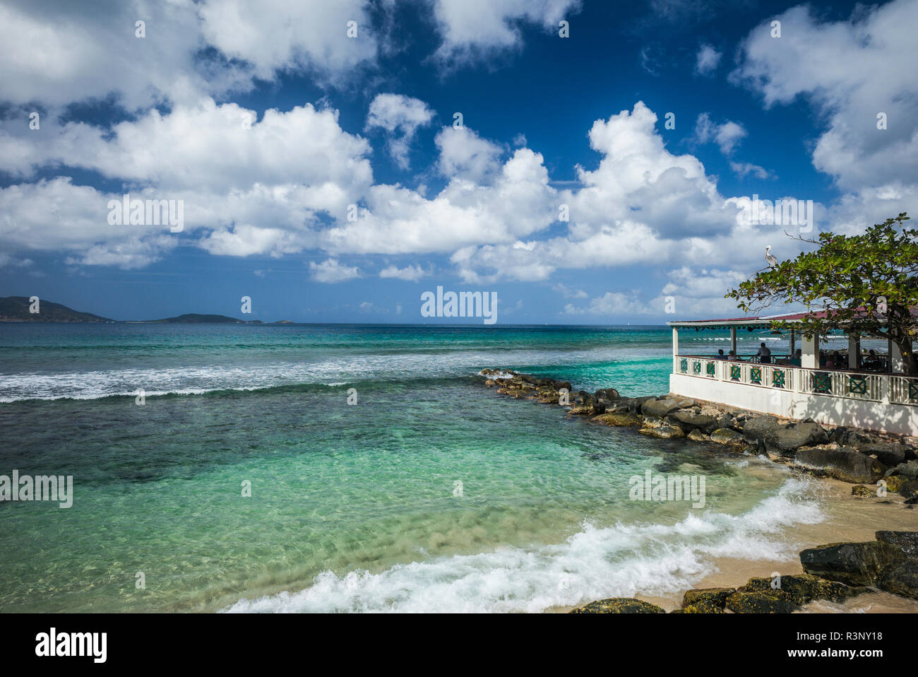 Tortola Apple Bay Beach  British Virgin Islands Sand Sample 