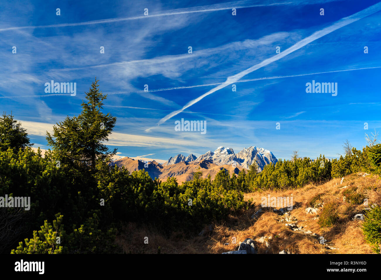 Sunny day in the carnic alps during a colorful autumn Stock Photo - Alamy
