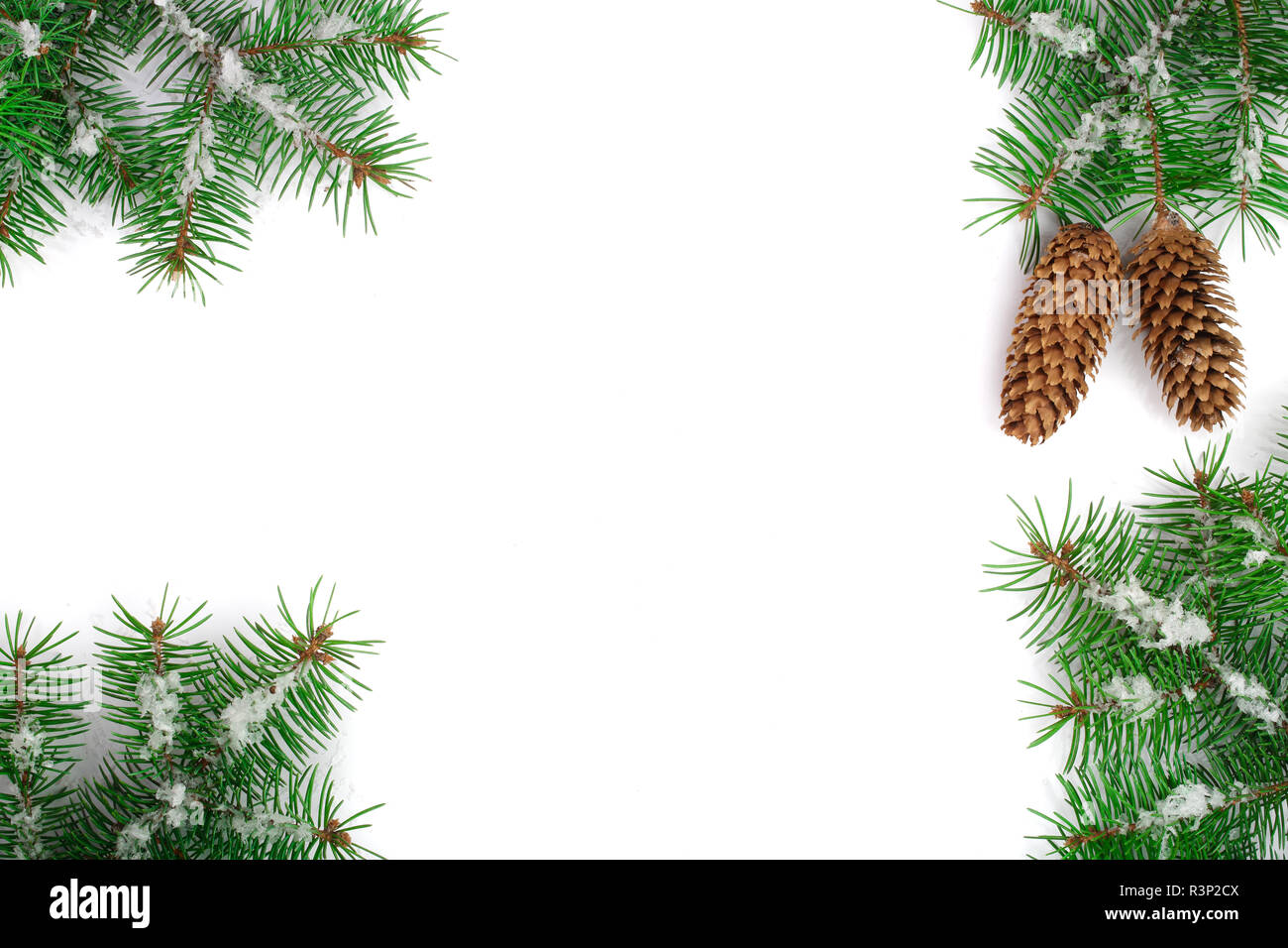 Frame of Fir tree branch with snow and cone isolated on white ...