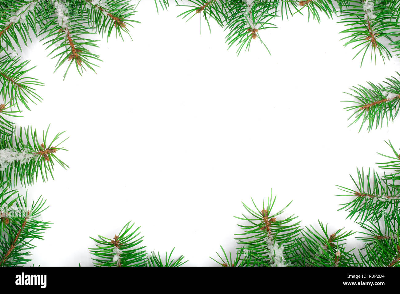 Frame of Fir tree branch with snow isolated on white background with ...
