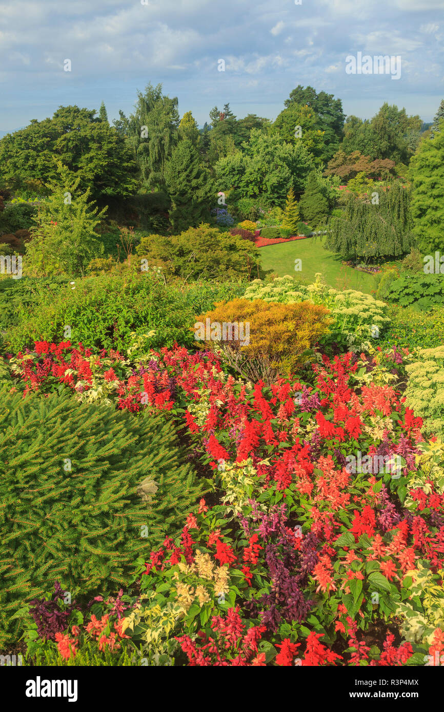Queen Elizabeth Park, Vancouver, British Columbia, Canada Stock Photo