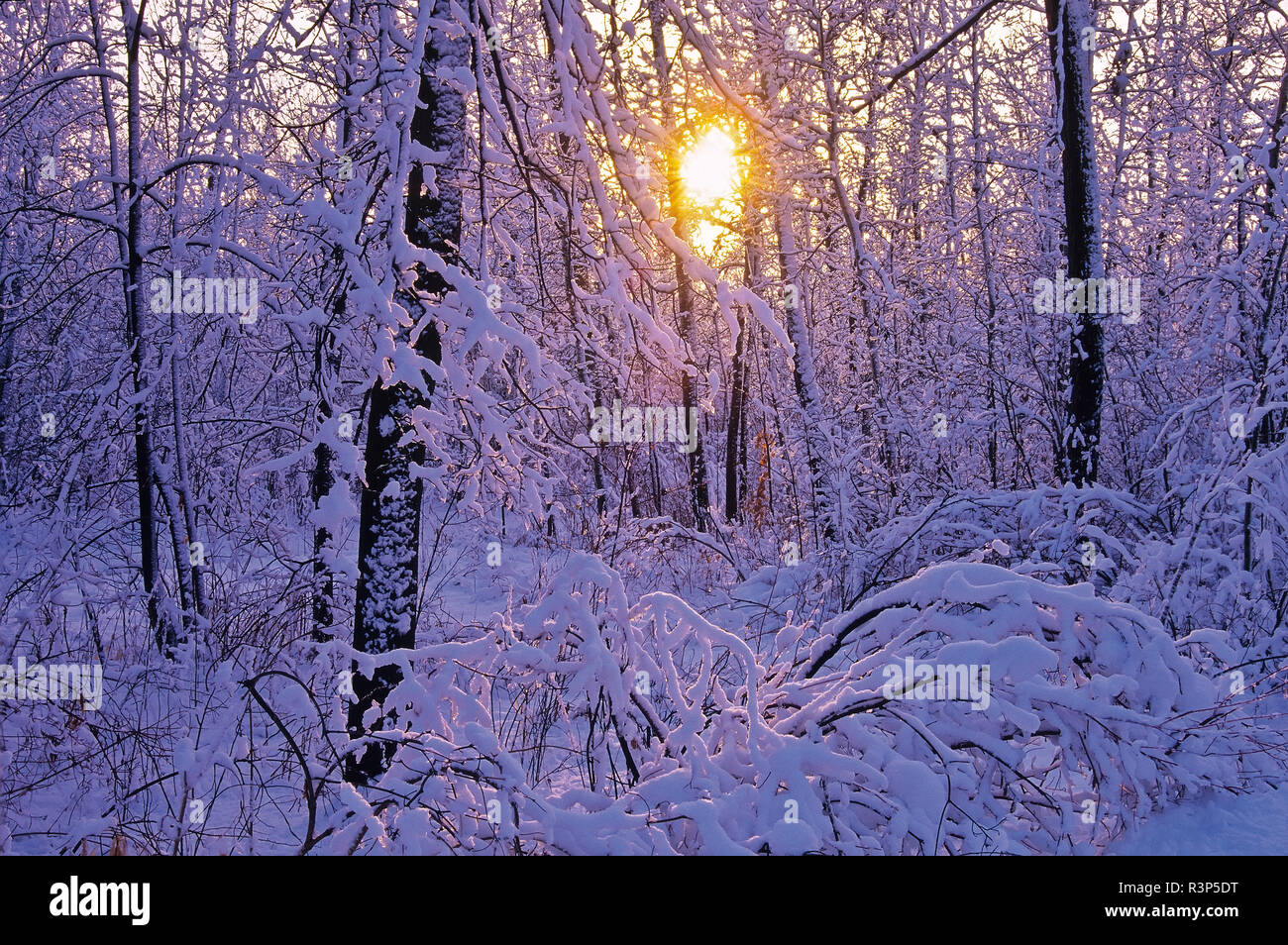 St vital park hires stock photography and images Alamy