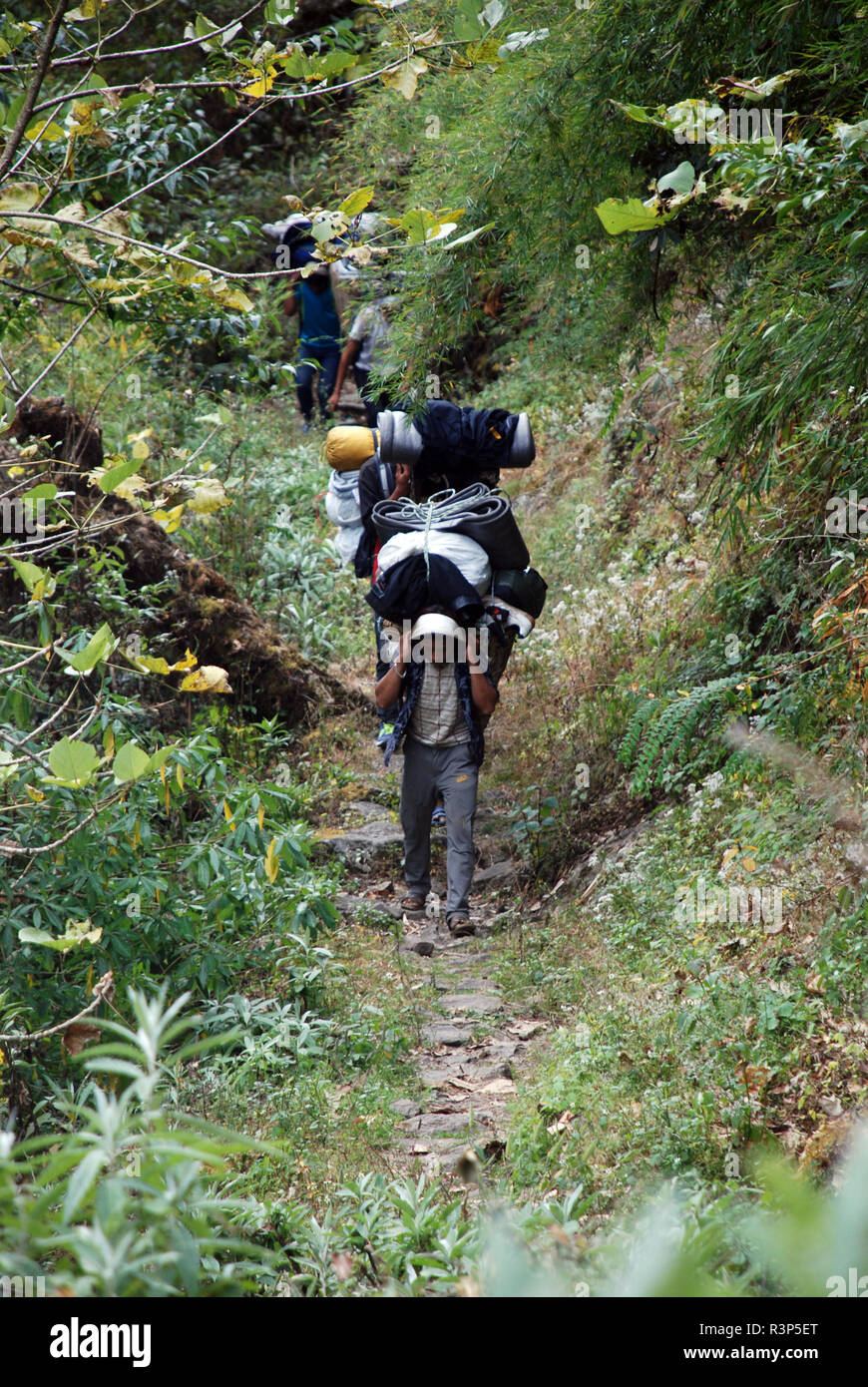 porters carrying heavy loads on a good path in Nepal Stock Photo