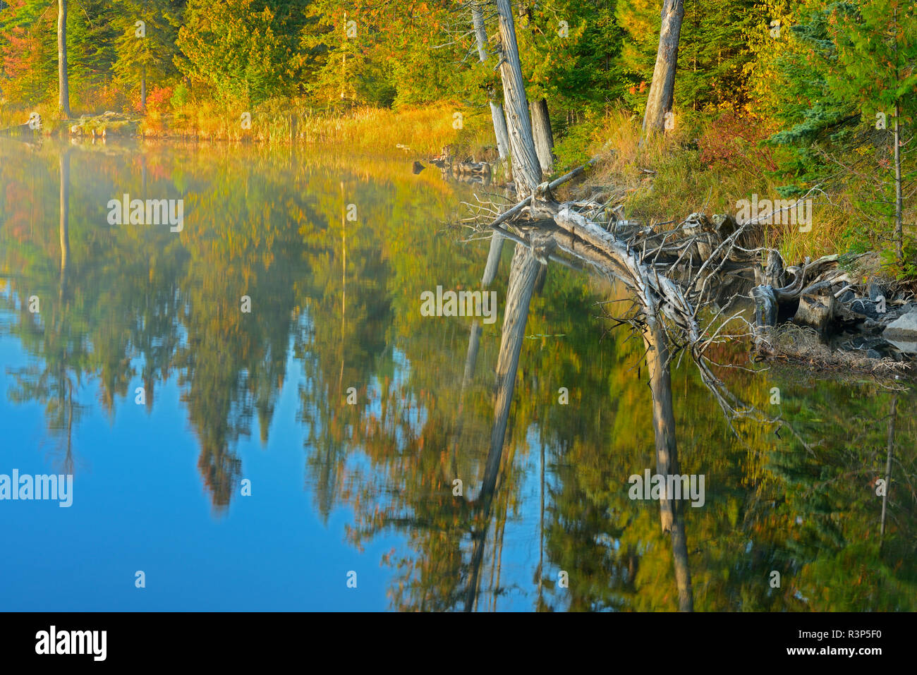 Canada, Manitoba, Whiteshell Provincial Park. Lyons Lake at sunrise