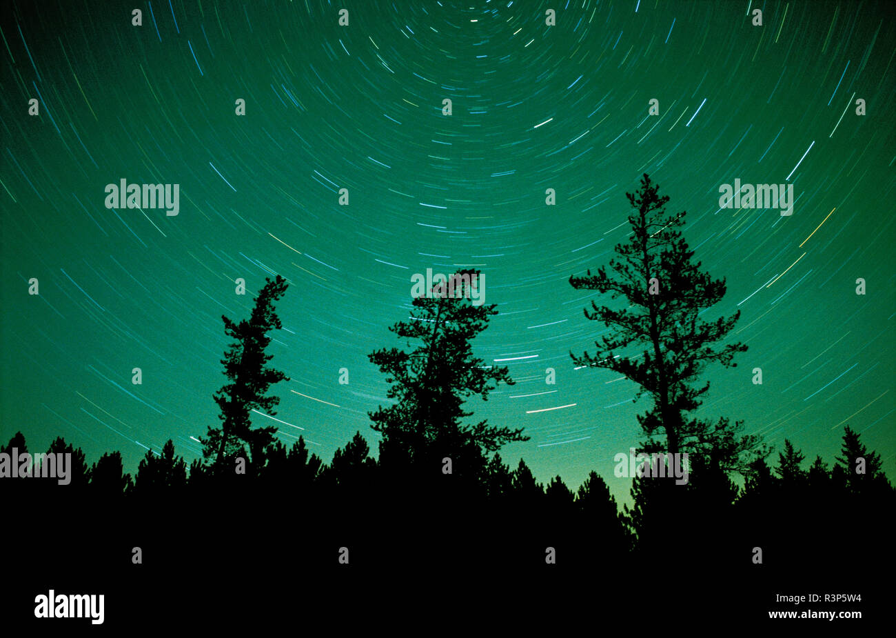 Northern lights aurora borealis and forest sandilands provincial forest