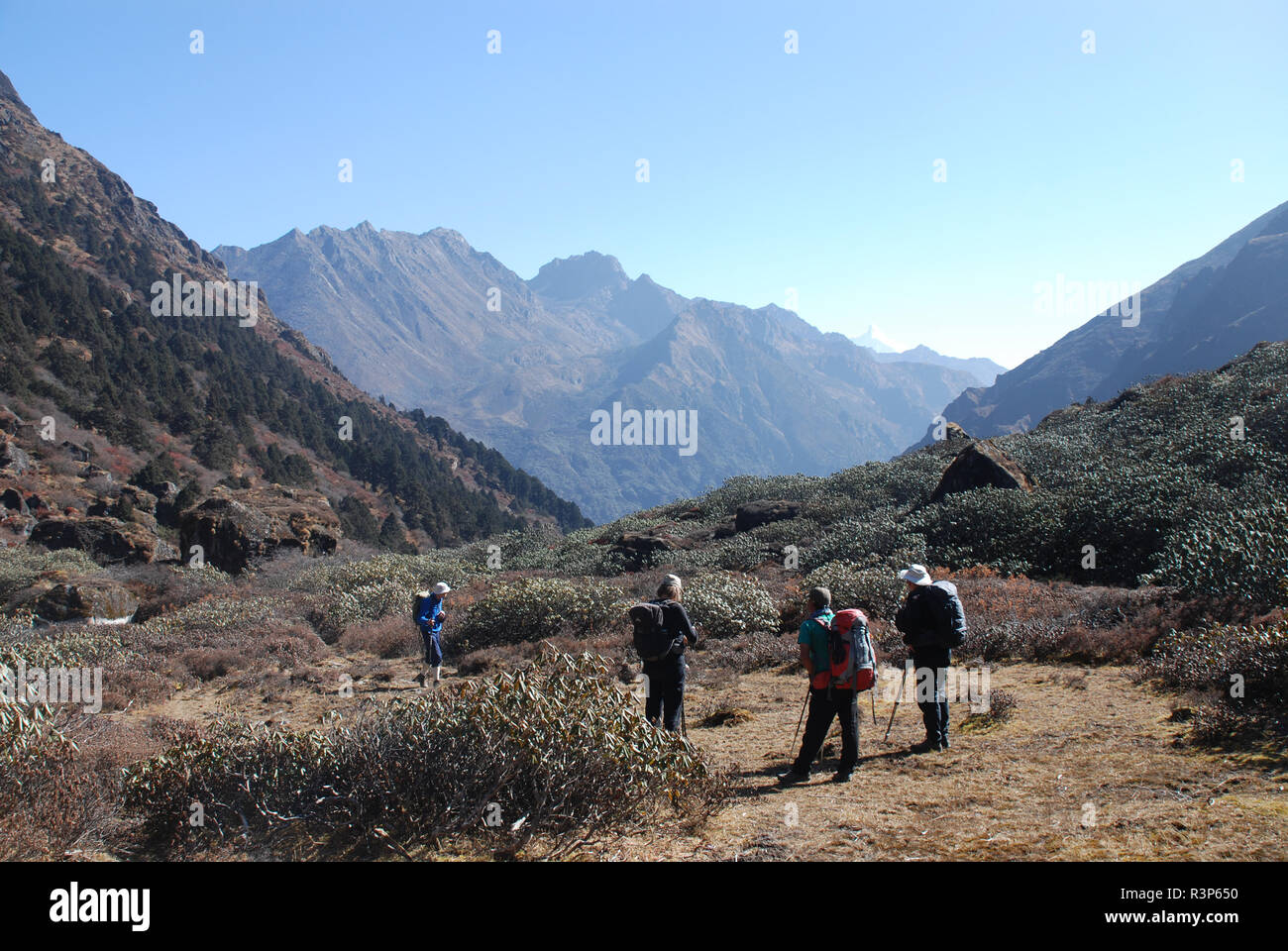 trekkers rest in a clearing amongst Rhododendron woodland in a valley in eastern Nepal with Jannu just visible in the background Stock Photo