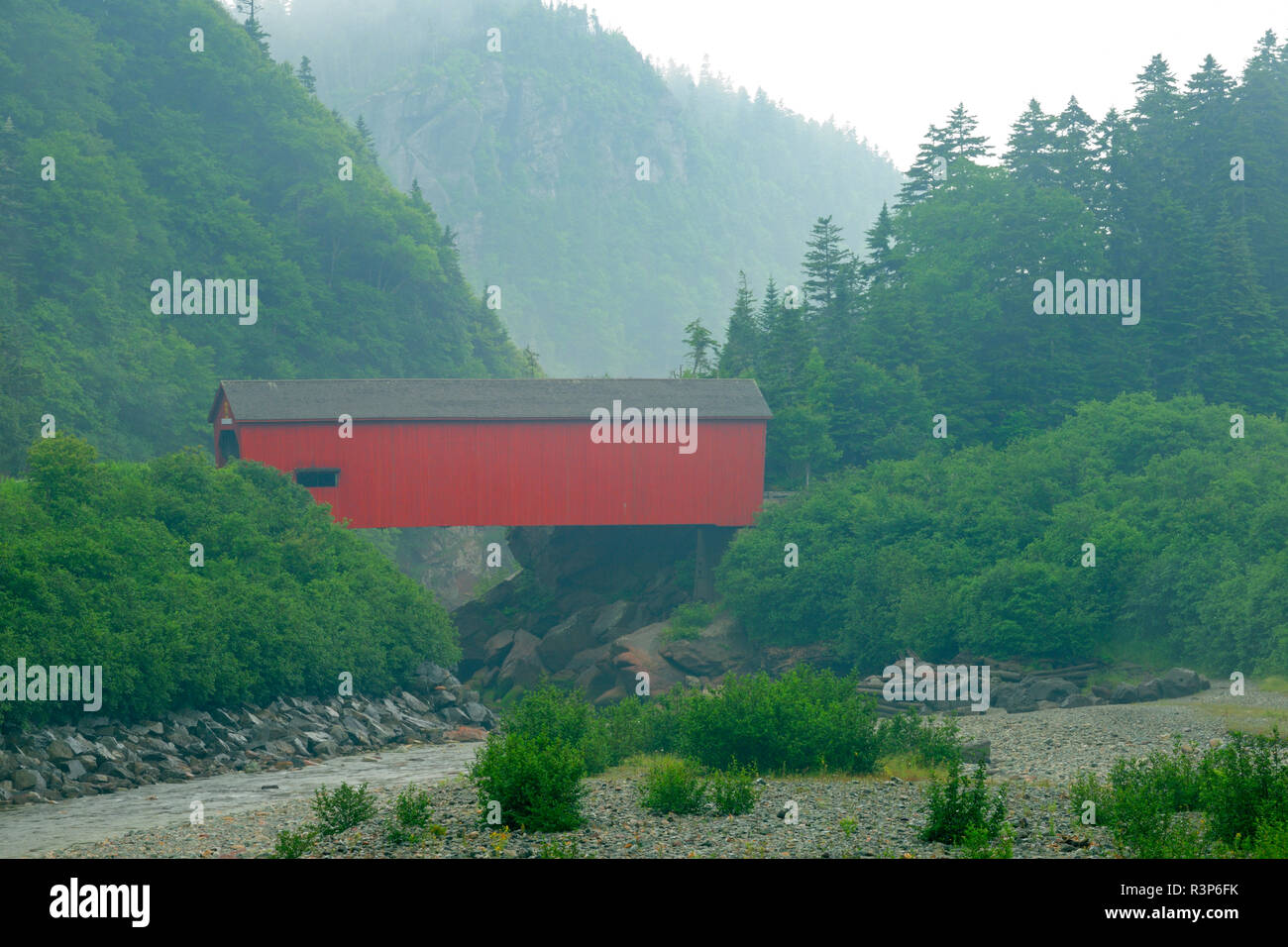 Point wolfe hi-res stock photography and images - Alamy