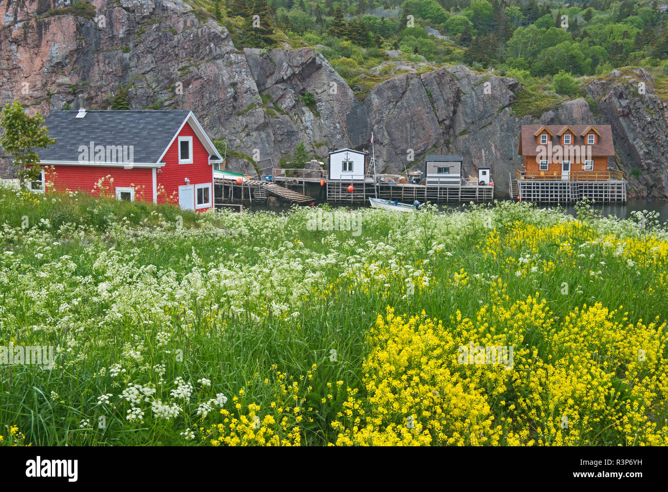 Canada, Newfoundland, Quidi Vidi. House in fishing village Stock Photo