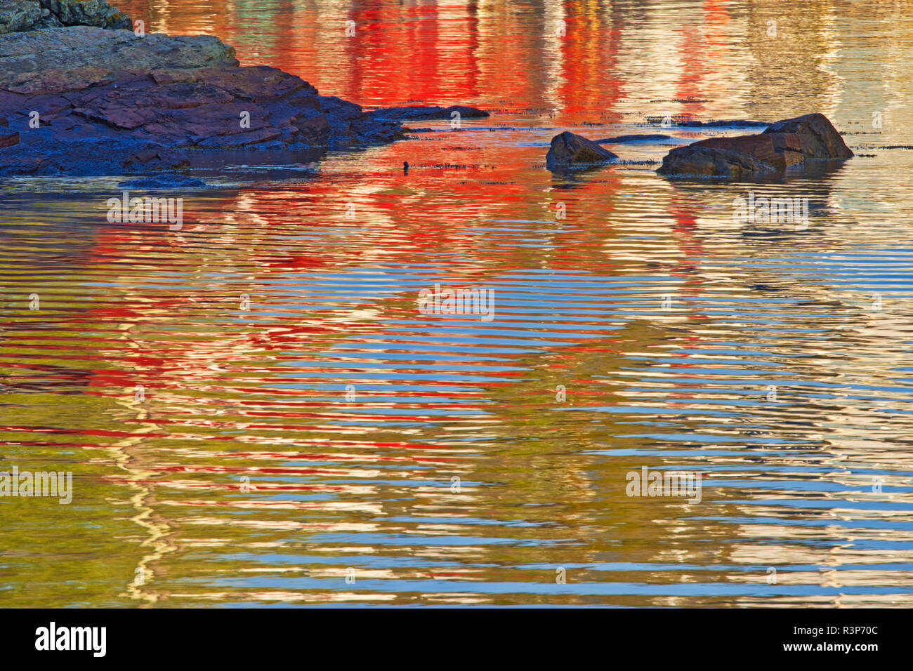 Canada, Newfoundland, Salvage. Reflection of village in Bonavista Bay. Stock Photo