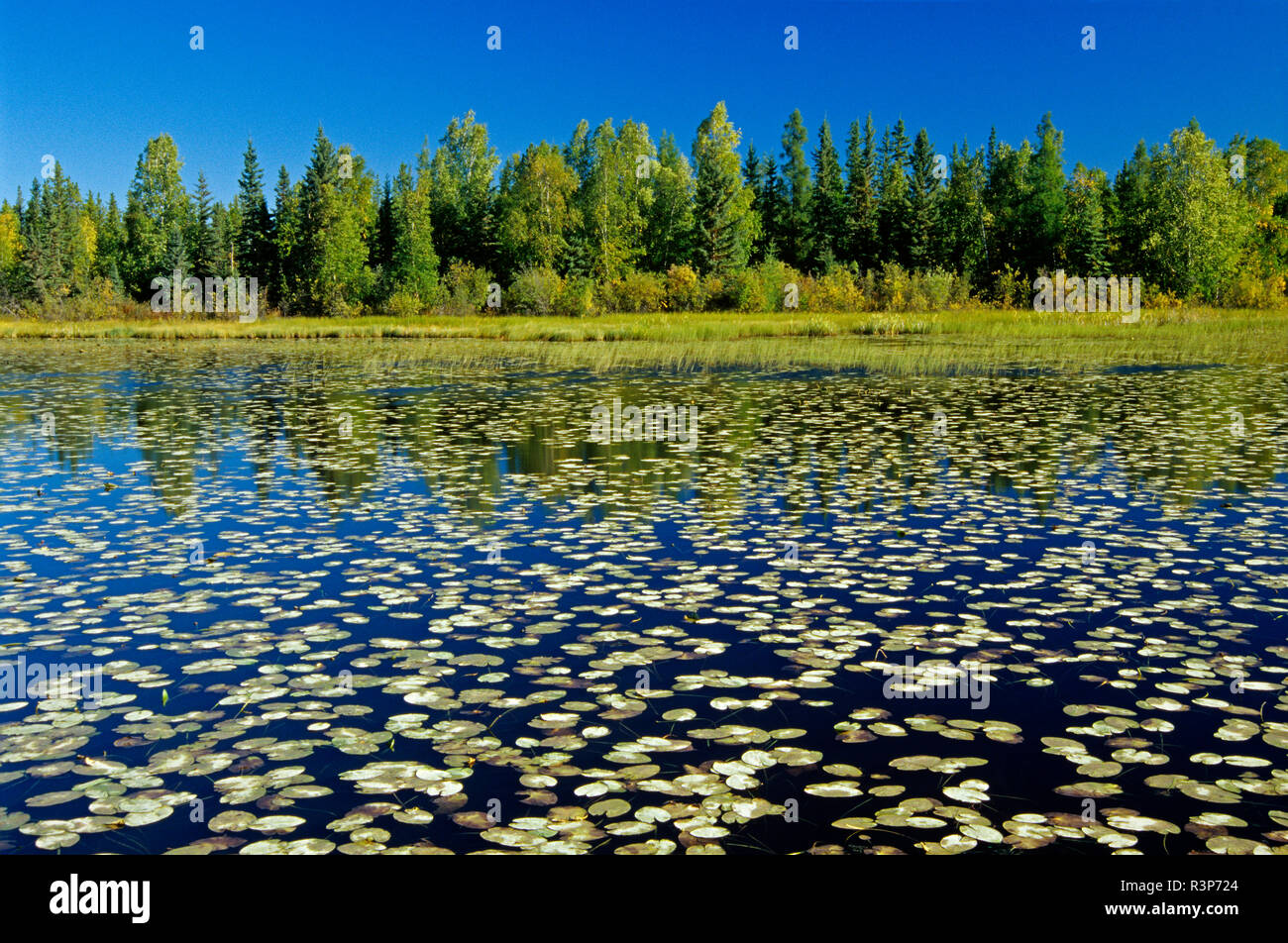 Northwest territories of canada hi-res stock photography and images - Alamy