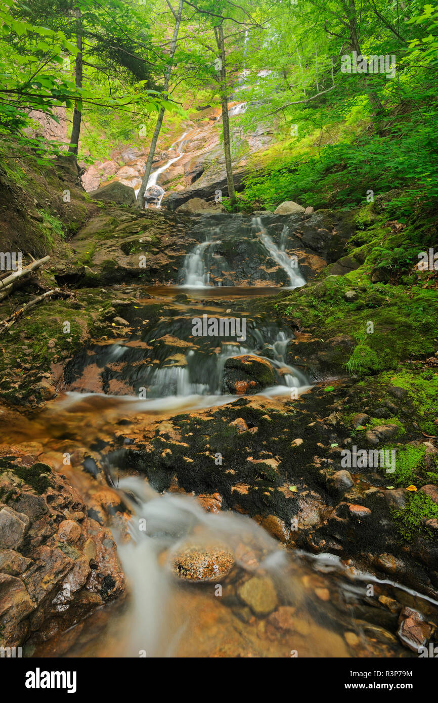 Canada, Nova Scotia, Cape Breton Highlands National Park. Beulach Ban ...