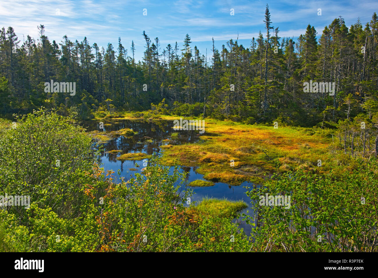 Canada, Nova Scotia, Marie Joseph. Wetland landscape Stock Photo Alamy