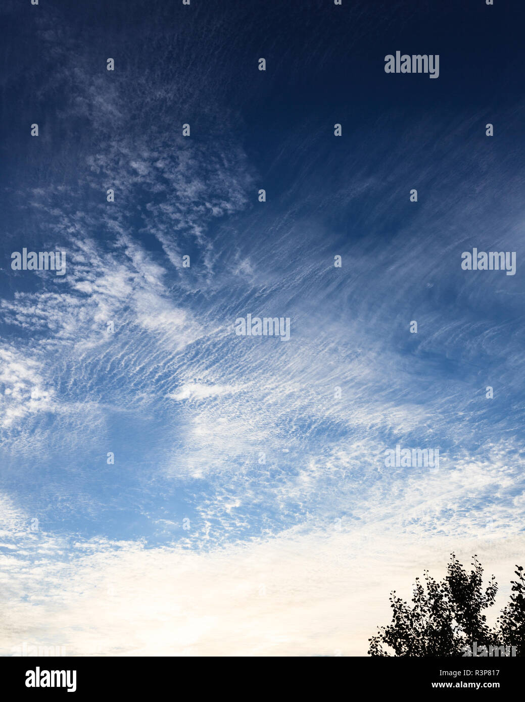 High contrast sunset hi-res stock photography and images - Alamy