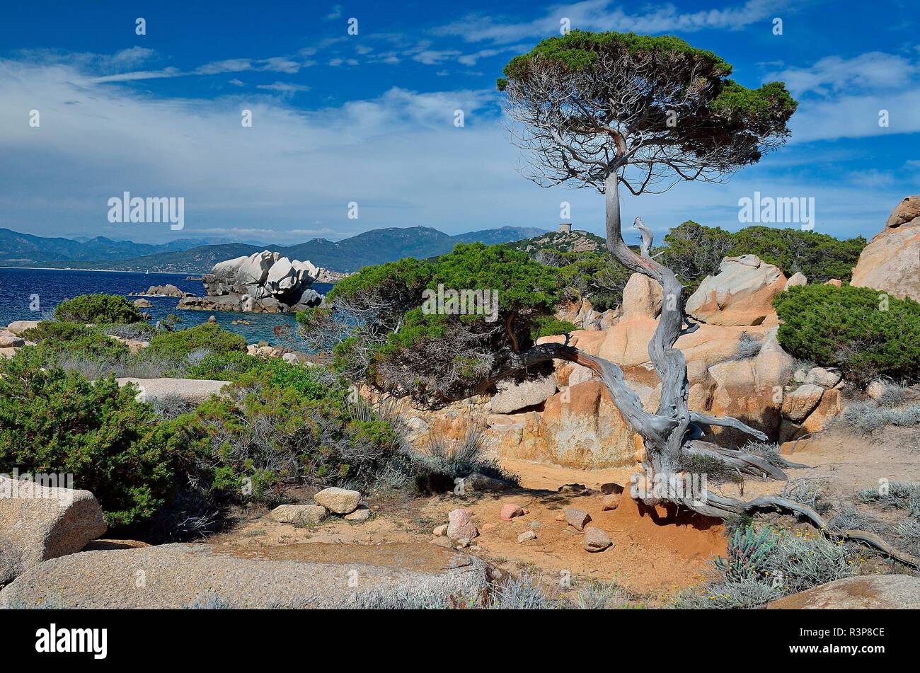 Natural site of the Coastal Conservatory between Campomoro and Senetosa, Propriano Region, Corsica, France Stock Photo