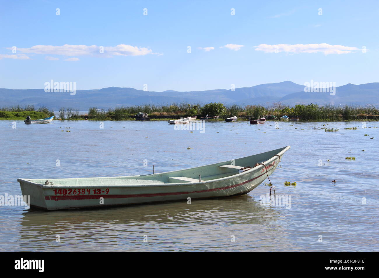 Foto tomada en Chapala,Jalisco,México en la que se aprecia un bote de pesca anclado en la orilla del lago al  fondo se ve la isla de los alacranes Stock Photo