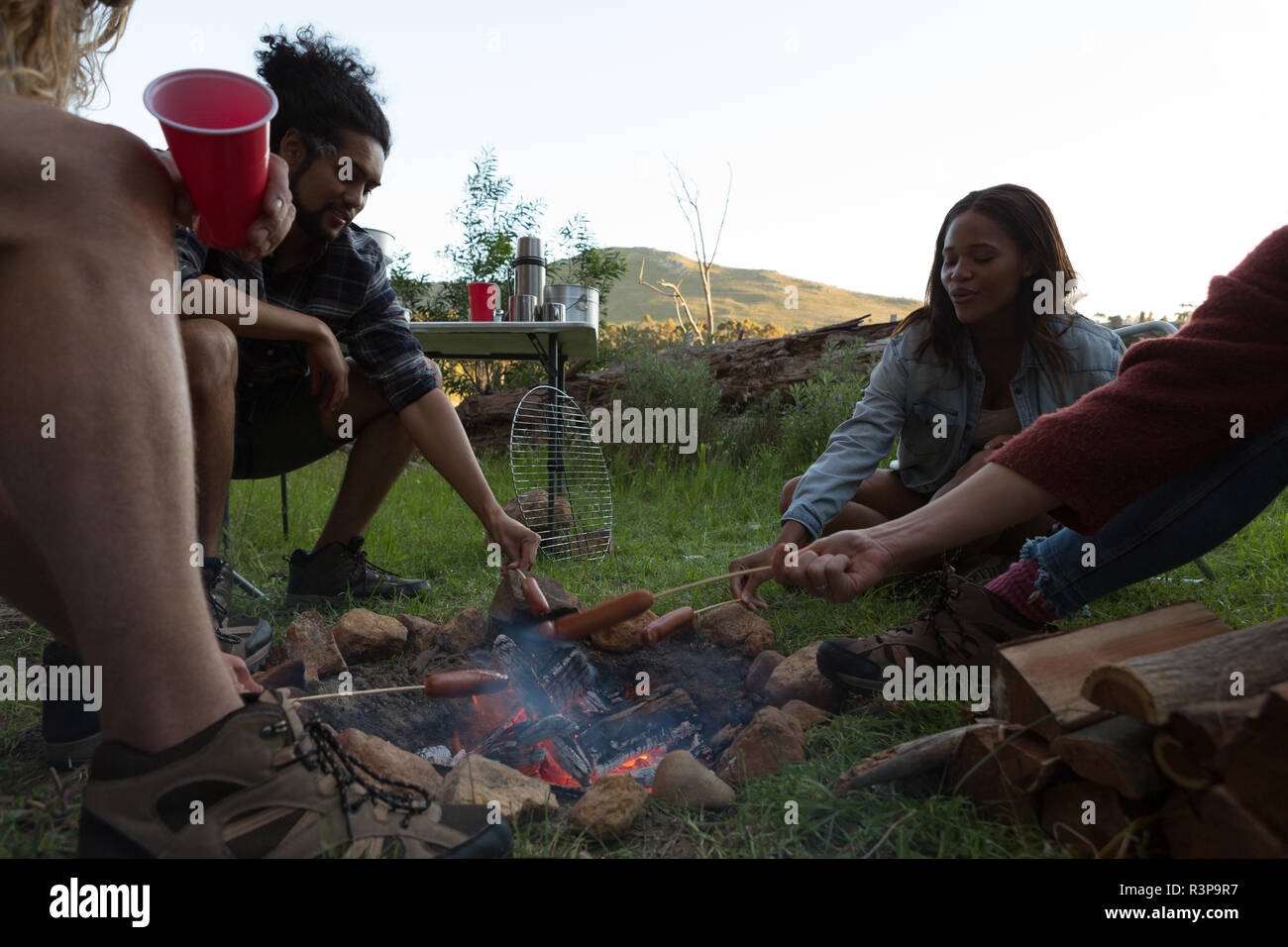 Group of friends roasting sausage on campfire Stock Photo Alamy