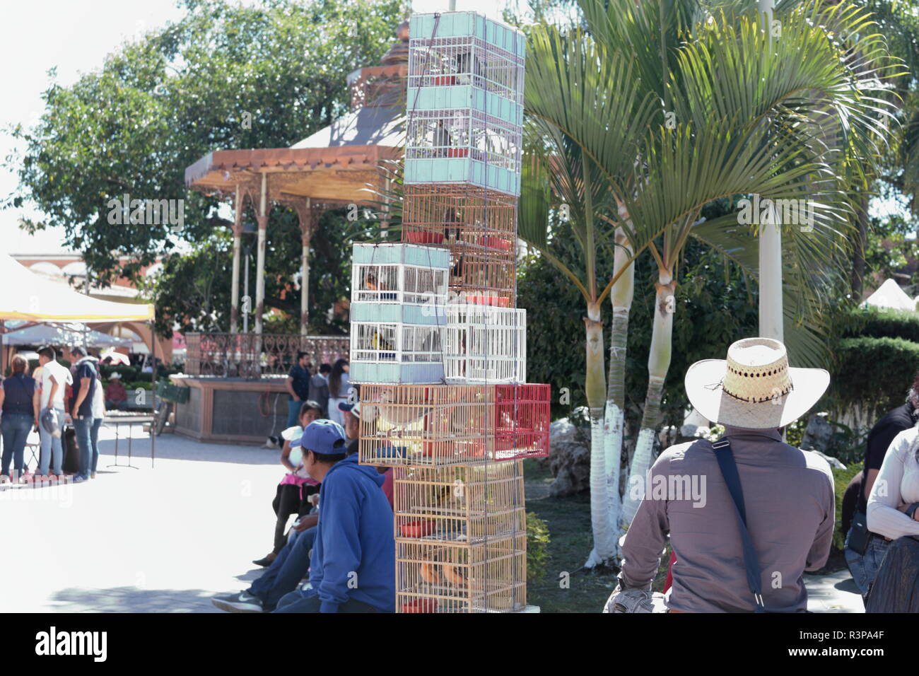 mercado municipal de Chapala Jalisco foto en la que se muestra un pajarero vendiendo en la plaza del mercado rodeado de gente que camina por el lugar Stock Photo