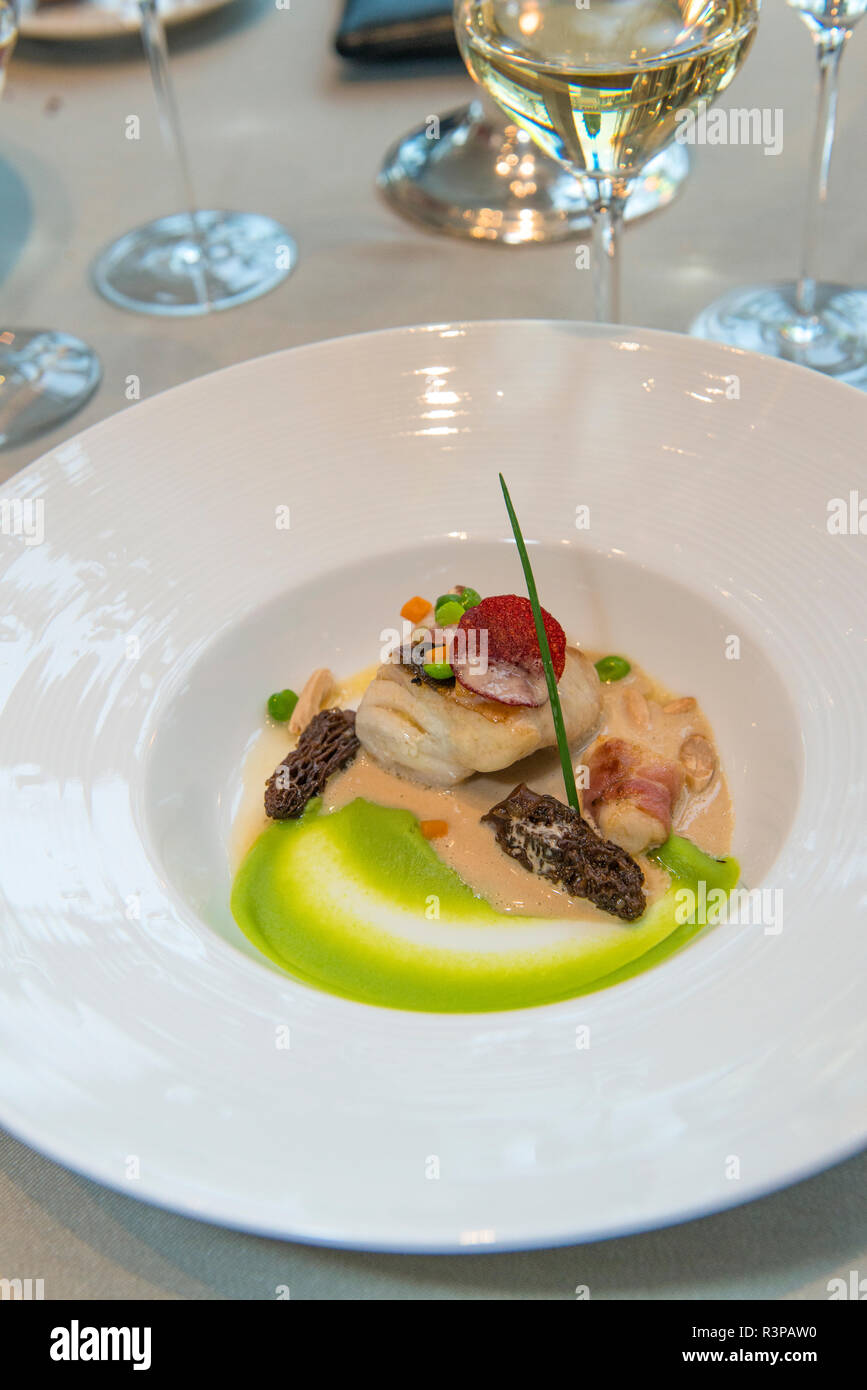 John Dory fish and morel mushrooms, cream almond sauce, Lyon, France, Europe Stock Photo