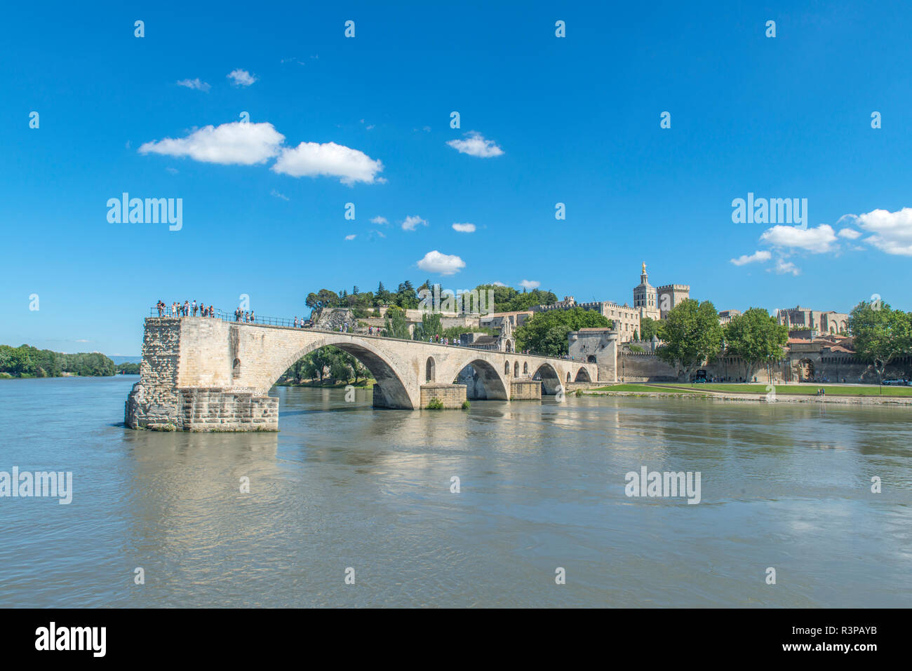 Avignon Bridge and Pope's Palace, Avignon, Provence, France, Europe Stock Photo