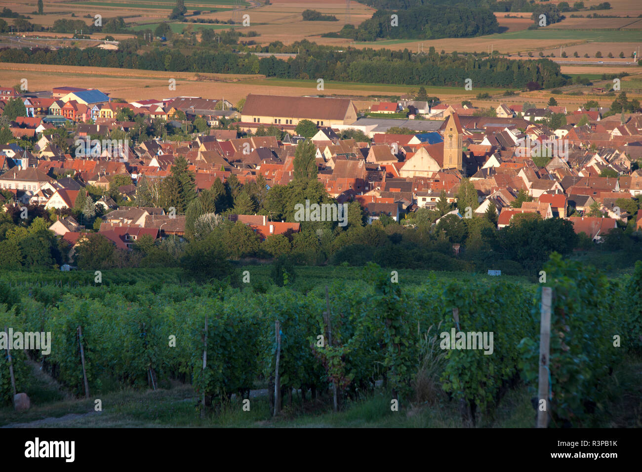 France, Alsace, Eguisheim. View of red roofed Eguisheim village, the birthplace of winegrowing in Alsace, seen from a hillside vineyard. Stock Photo