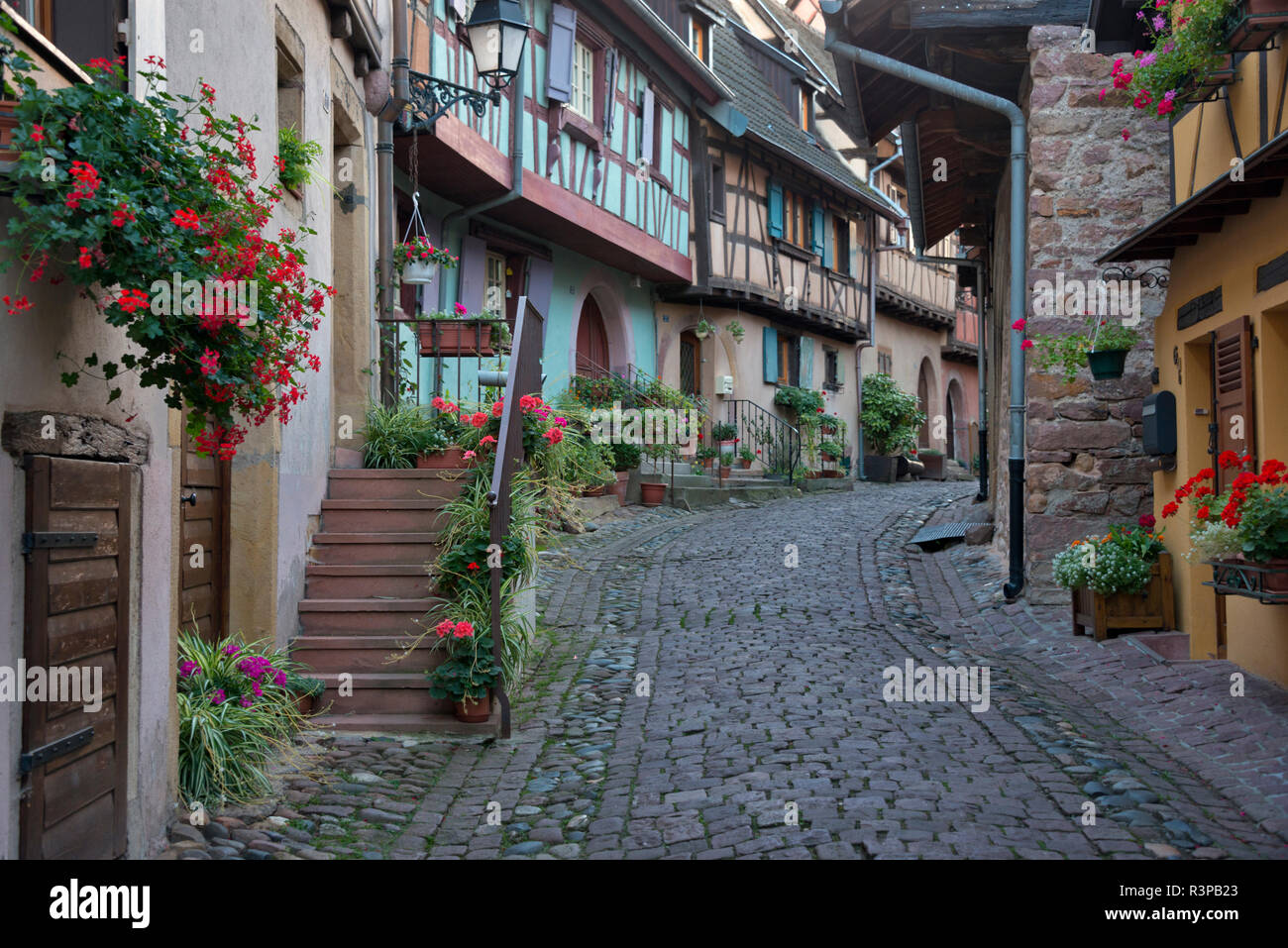 France, Alsace, Eguisheim. A cobblestone street winds between traditional architecture in Eguisheim village. Stock Photo