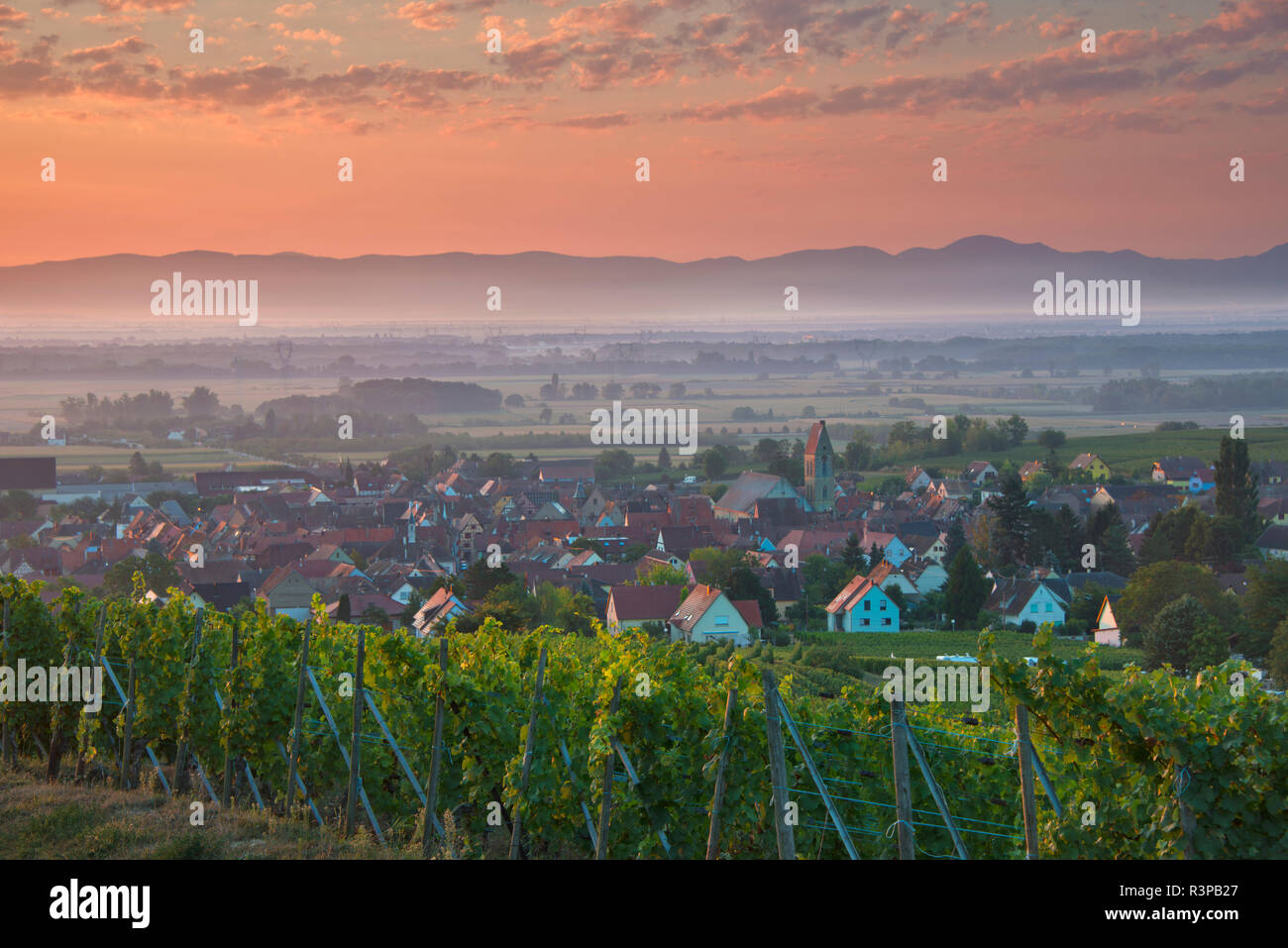 France, Alsace, Eguisheim. Sunrise light hits the picturesque traditional village of Eguisheim in the Alsatian wine region. Stock Photo