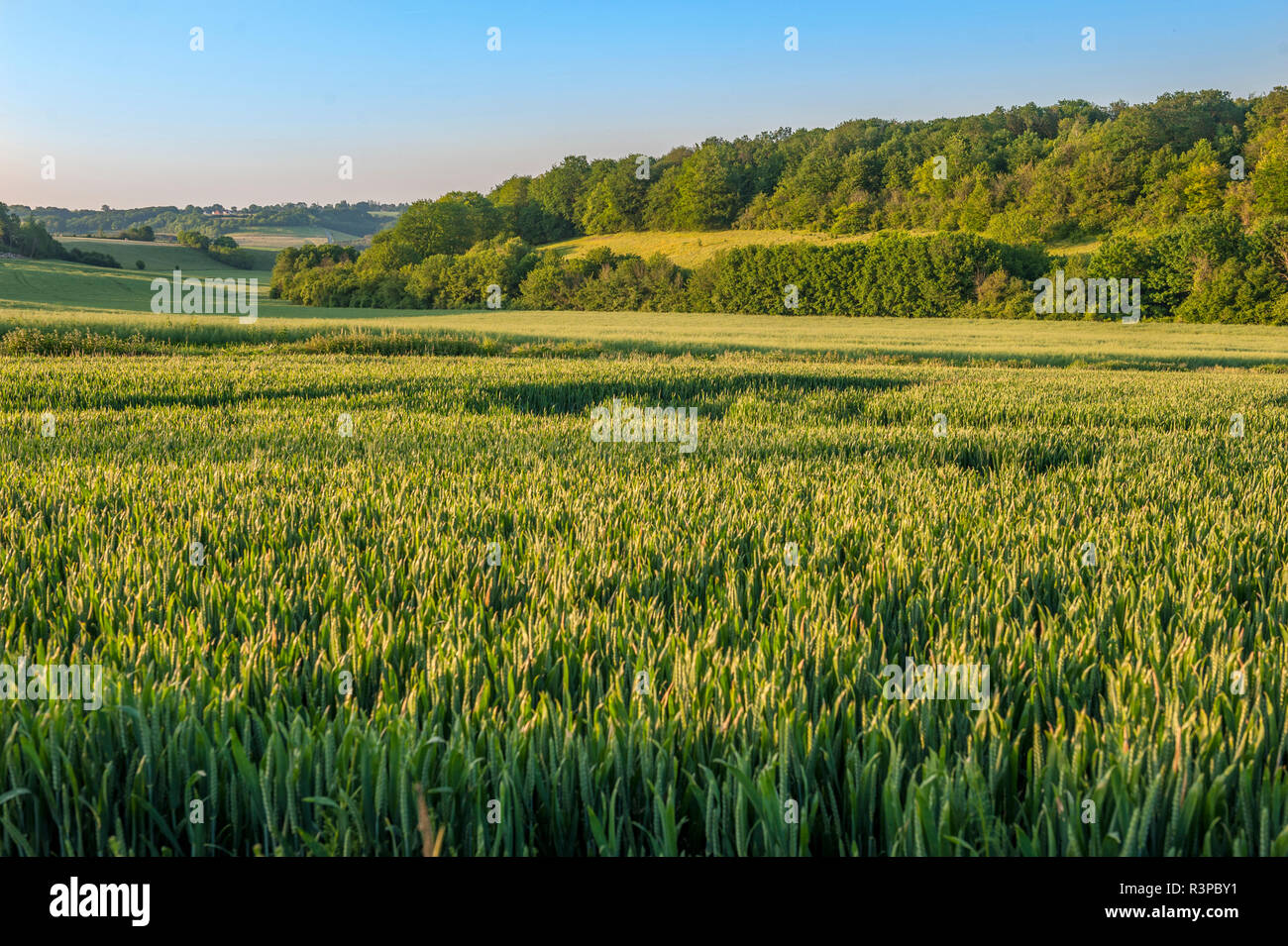 Vexin Stock Photos & Vexin Stock Images Alamy