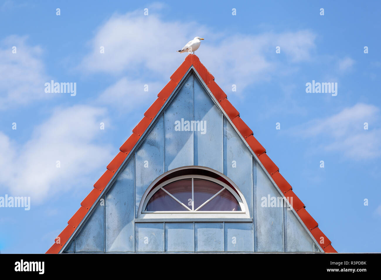 Möwe auf einem Dach Stock Photo