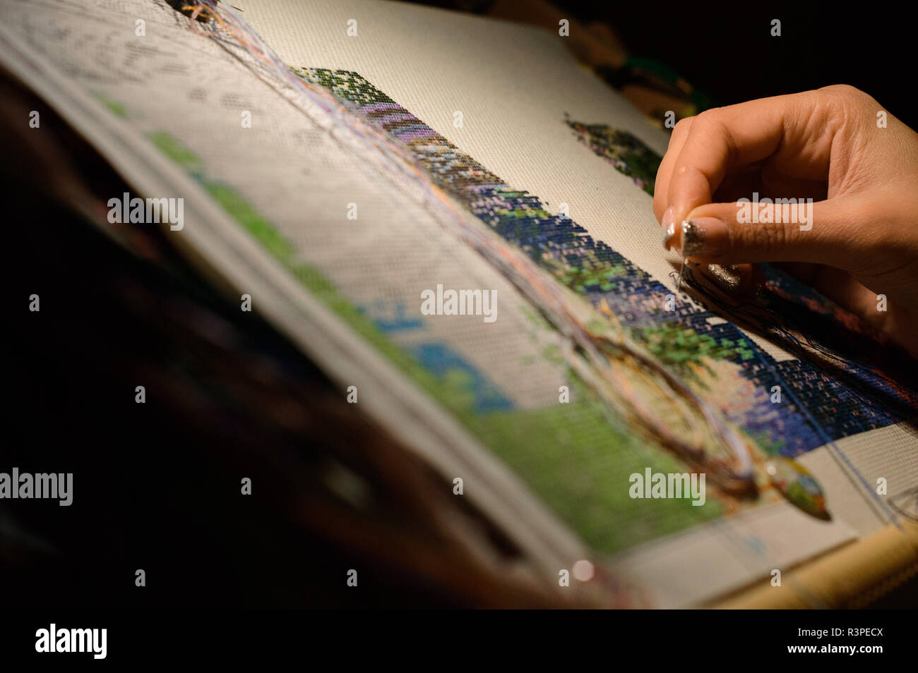 cross stitch Stock Photo