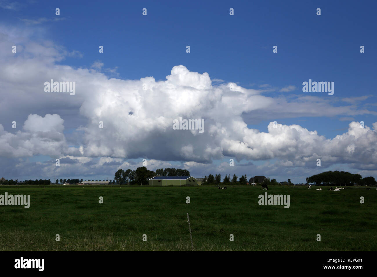Many different kinds of clouds to spot in the sky Stock Photo - Alamy