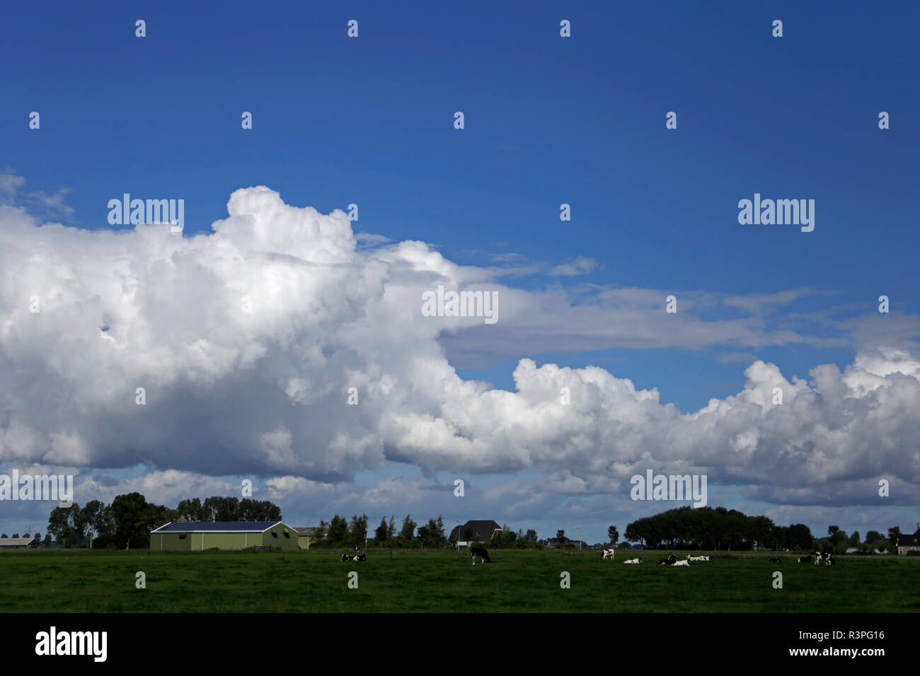 Many different kinds of clouds to spot in the sky Stock Photo - Alamy