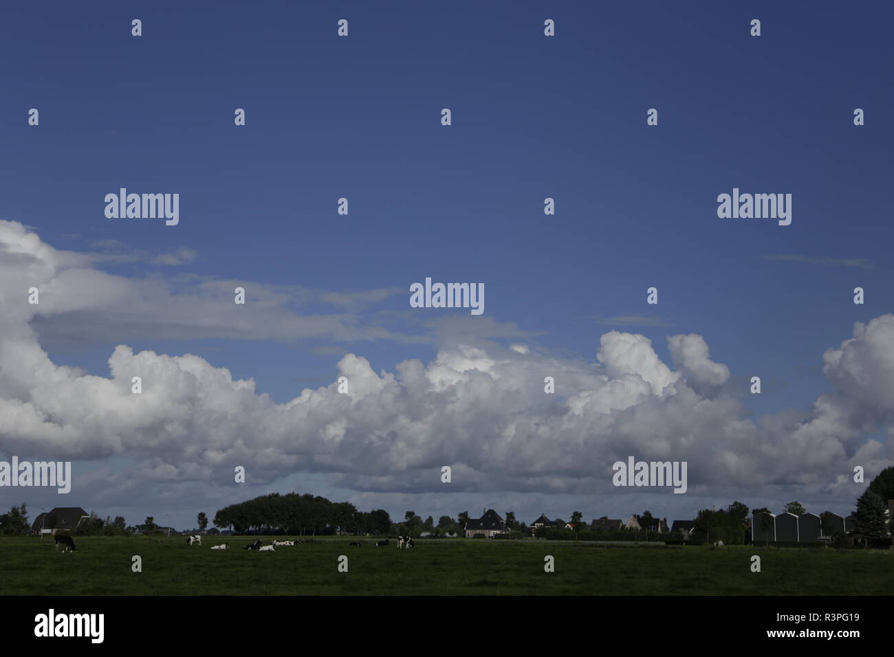 Many different kinds of clouds to spot in the sky Stock Photo - Alamy