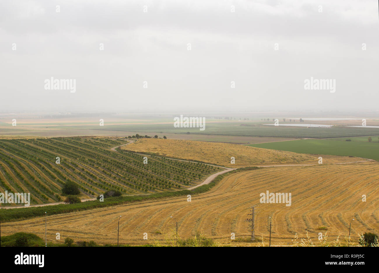 The fertile Valley of Jezreel taken from the historic Tel Megiddo in Lower Galilee Israel. This site of many ancient battles will be the site of the p Stock Photo