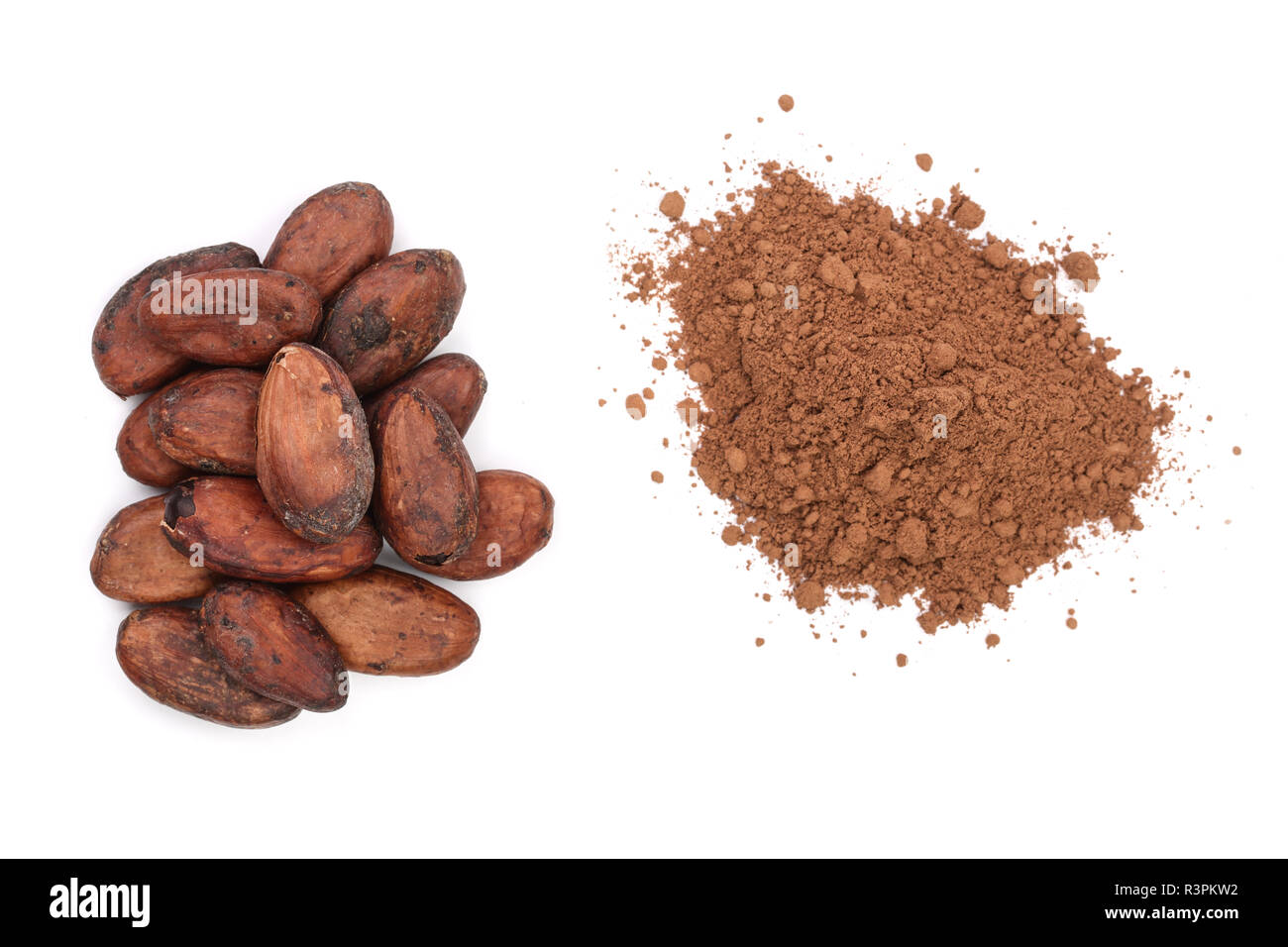 cocoa bean and cocoa powder isolated on white background top view Stock ...