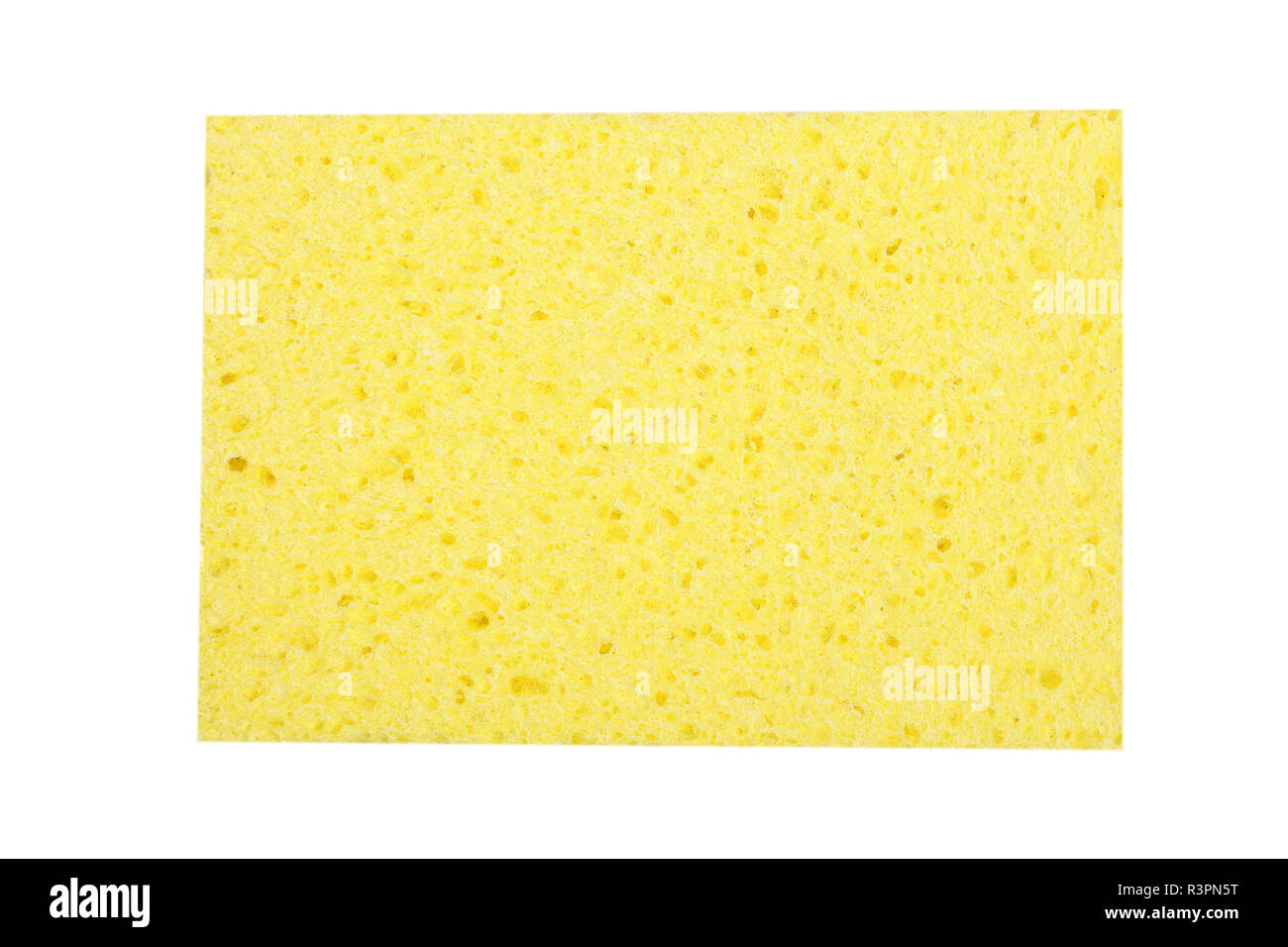 cleaning sponge for washing isolated on white background Stock Photo