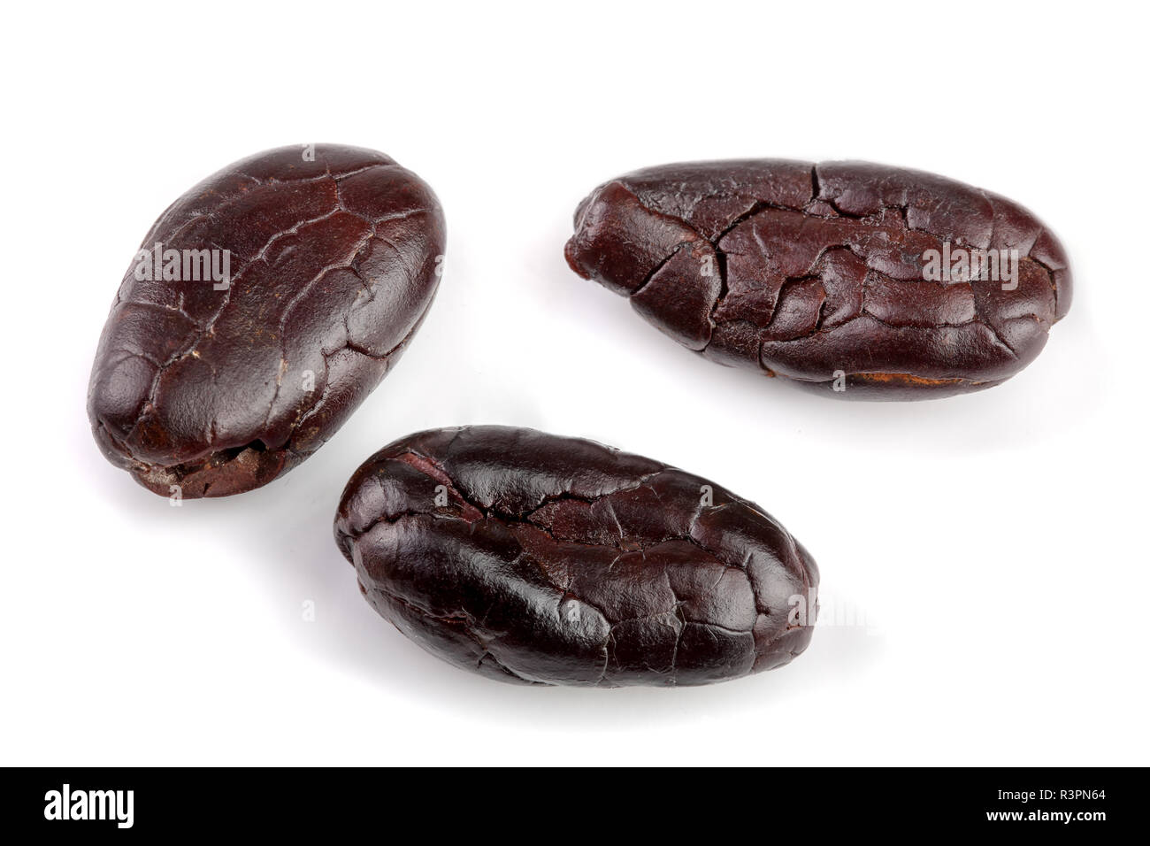 cocoa bean isolated on white background macro Stock Photo