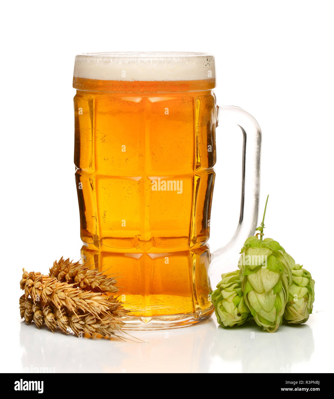 glass of foamy beer with hop cones and wheat isolated on white ...