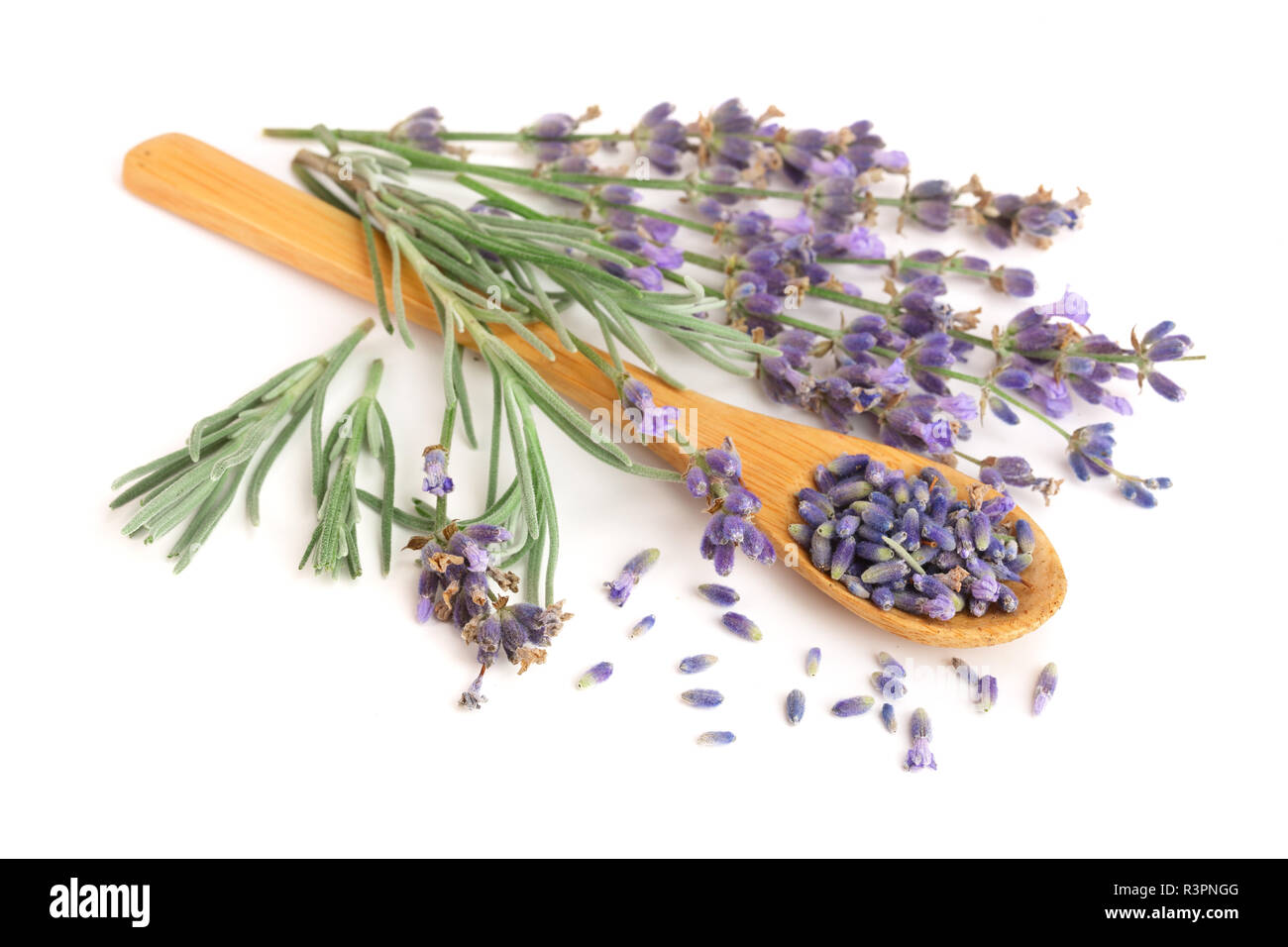 sprigs of fresh lavender and dried in spoon isolated on white
