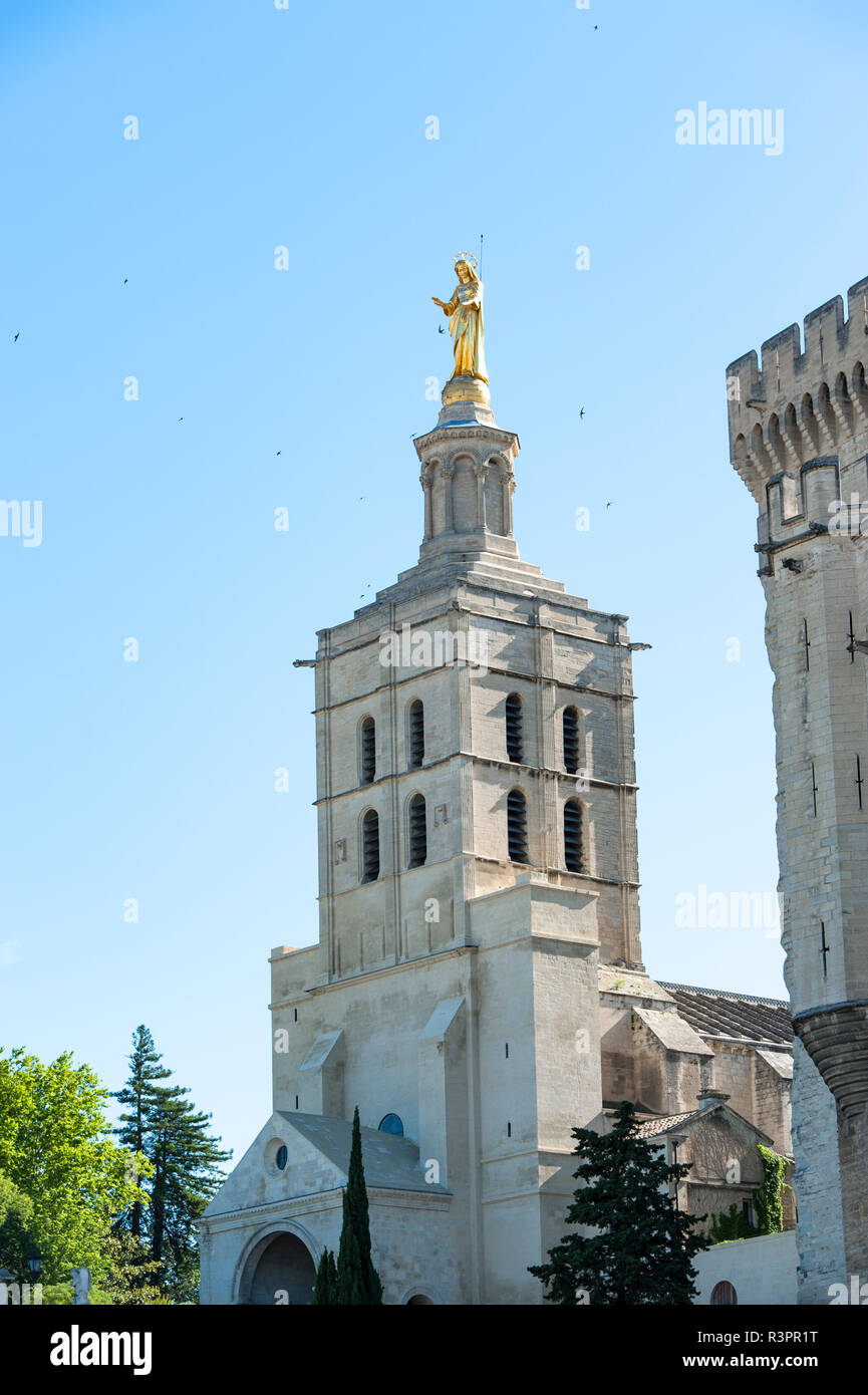 Notre Dame des Doms, Pope's Palace, Avignon, France Stock Photo