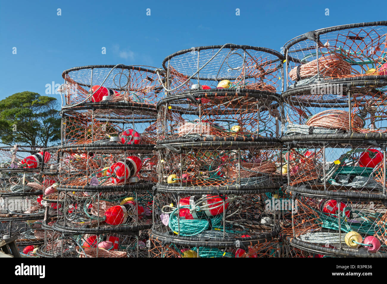 Crab trap hi-res stock photography and images - Alamy