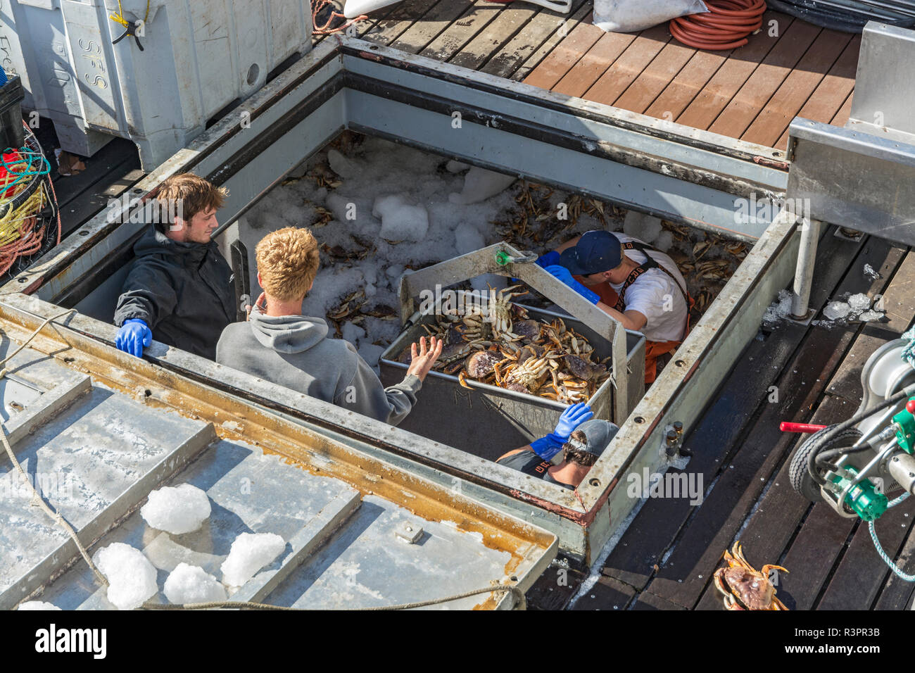 California, Princetonbythe sea, Pillar Point Harbor, fishing boat