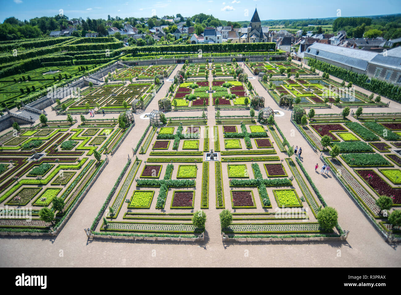 Kitchen garden, Chateau de Villandry, Loire Valley, France Stock Photo
