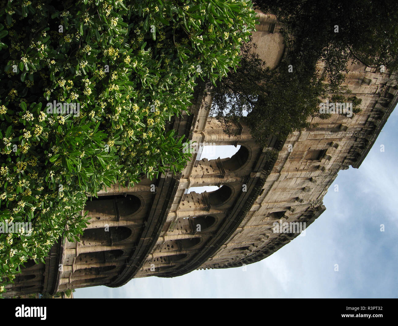 colosseum in rome Stock Photo