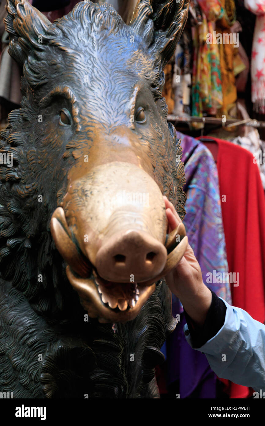 Italy, Florence. Il Porcellino, The little pig, statue in Marketo Nuovo