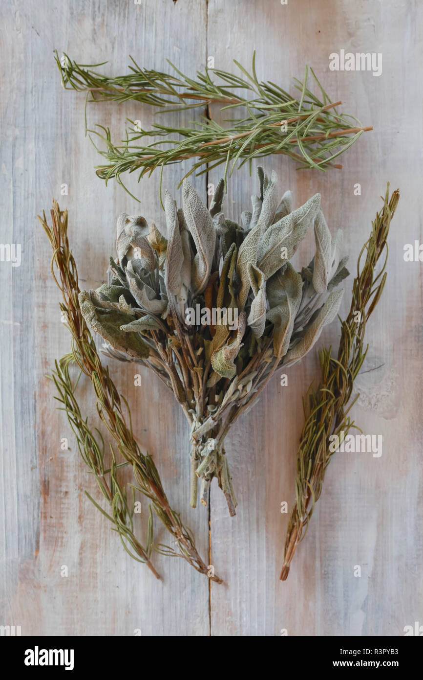 Fresh and dried rosemary and sage on wood Stock Photo