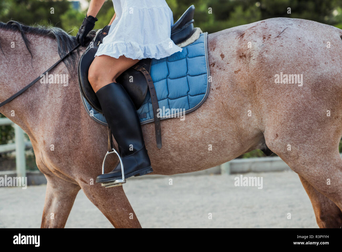 Woman Horse Riding Leg Dress Stock Photos & Woman Horse Riding Leg