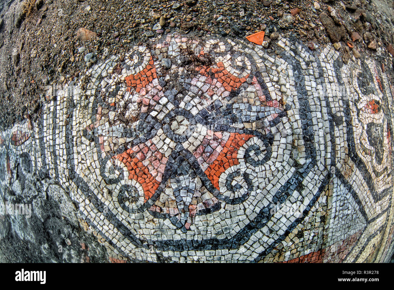 Underwater Ancient Mosaics Campi Flegrei West Of The Gulf Of Naples underwater-ancient-mosaics-campi-flegrei-west-of-the-gulf-of-naples