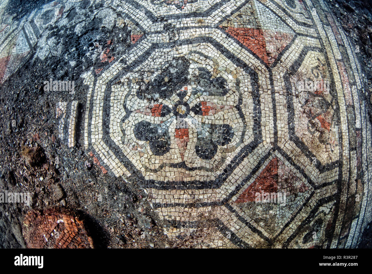 Underwater Ancient Mosaics Campi Flegrei West Of The Gulf Of Naples underwater-ancient-mosaics-campi-flegrei-west-of-the-gulf-of-naples