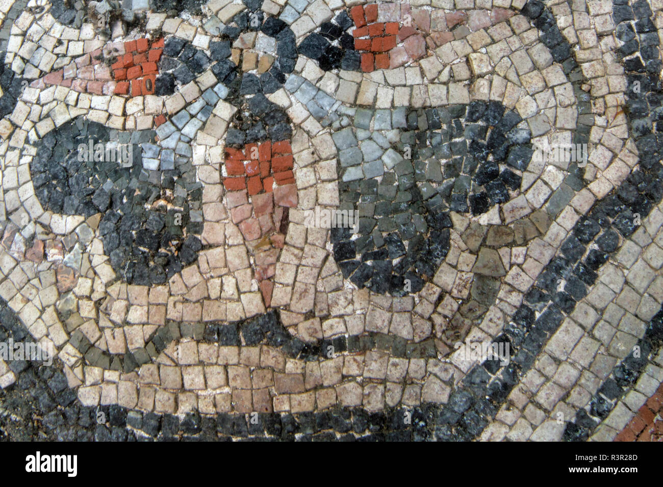 Greek Roman Age Greek Roman Age